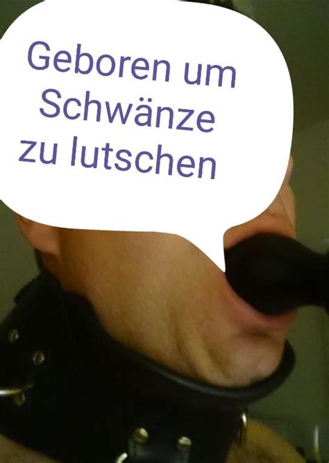 schwänze lutschen|schwanz